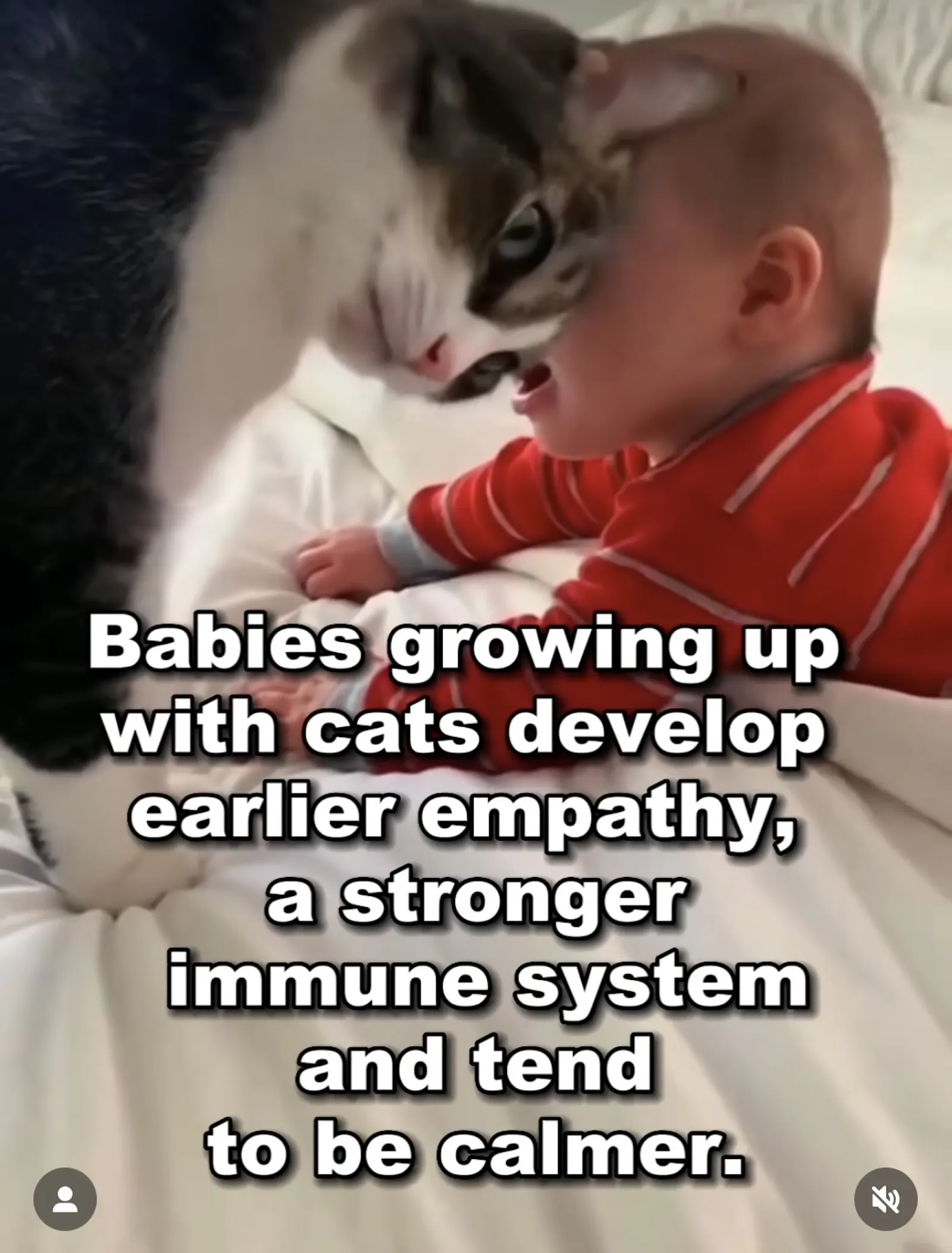 Meme, in dem behauptet wird, Katzen würden Baby ruhiger machen. Bild zeigt Katzenkopf an Babykopf
