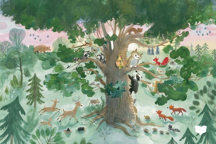 AUS: UHUWE LIEST VOR // © Christelle Saquet (Text) © Tatjana Mai-Wyss (Illustrationen) / Bohem Verlag