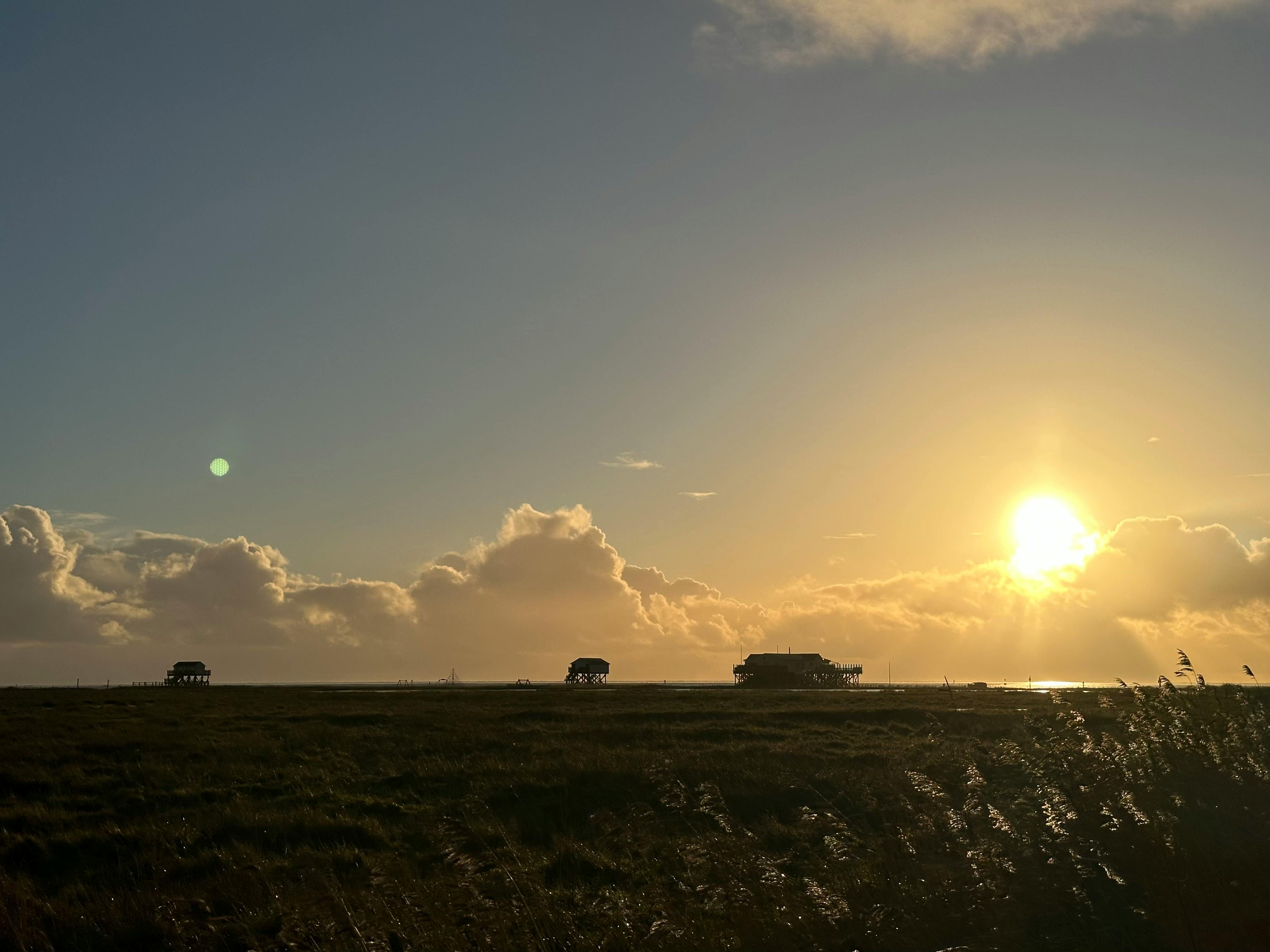 Blick auf den Strand in St. Peter Ording. Im Hintergrund sieht man die Pfahlbauten, darüber einen von der Sonne in goldgelbes Licht getauchten Himmel.
