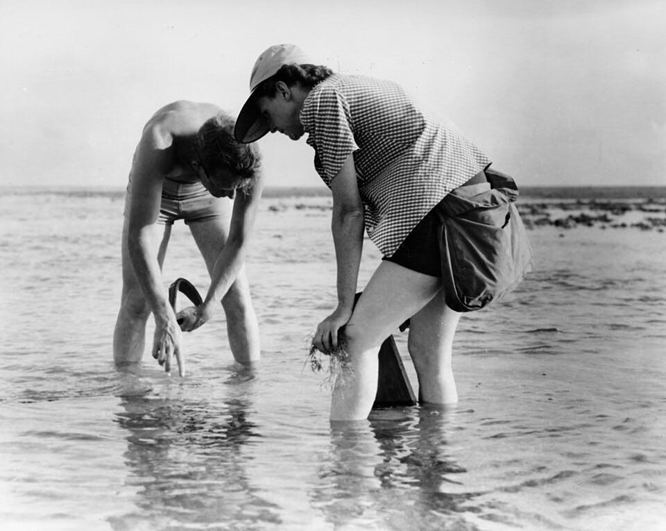 Eine junge fRau und ein junger Mann stehen auf diesem Schwarm-Weiß-Foto bis zu den Waden im Meerwasser und beobachten etwas.