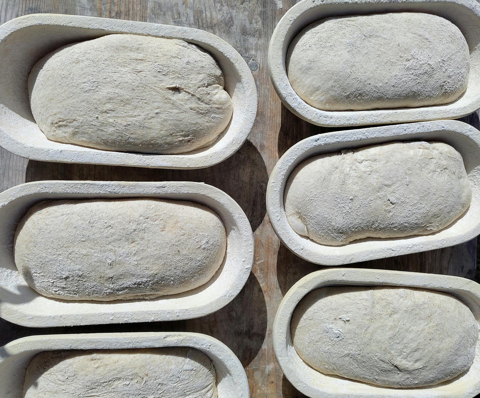 Wo ist der Schluss? Er versteckt sich am Boden des Gärkorbs und kommt erst beim Backen wieder zum Vorschein. Ob er aufreißen wird?