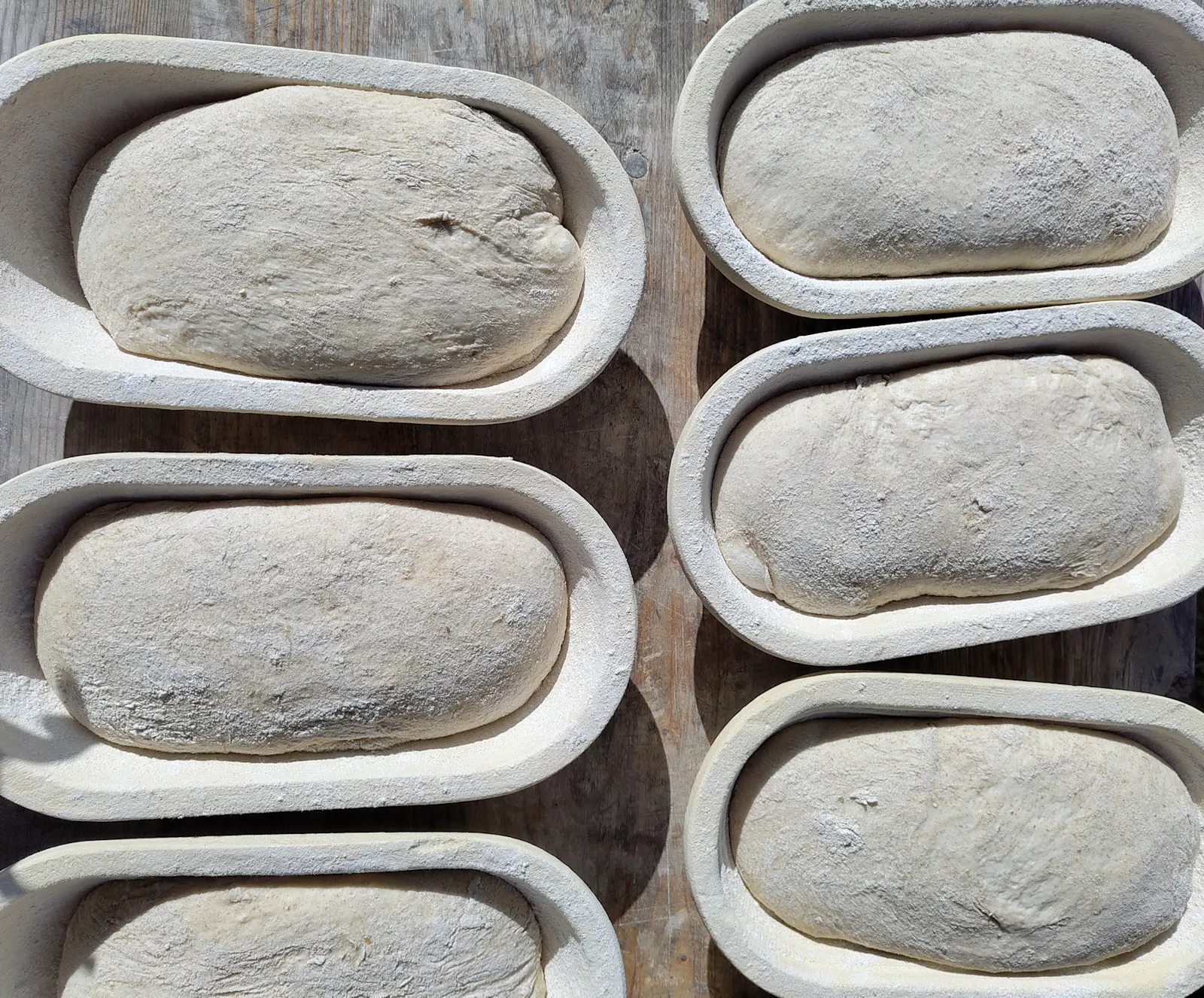 Wo ist der Schluss? Er versteckt sich am Boden des Gärkorbs und kommt erst beim Backen wieder zum Vorschein. Ob er aufreißen wird?