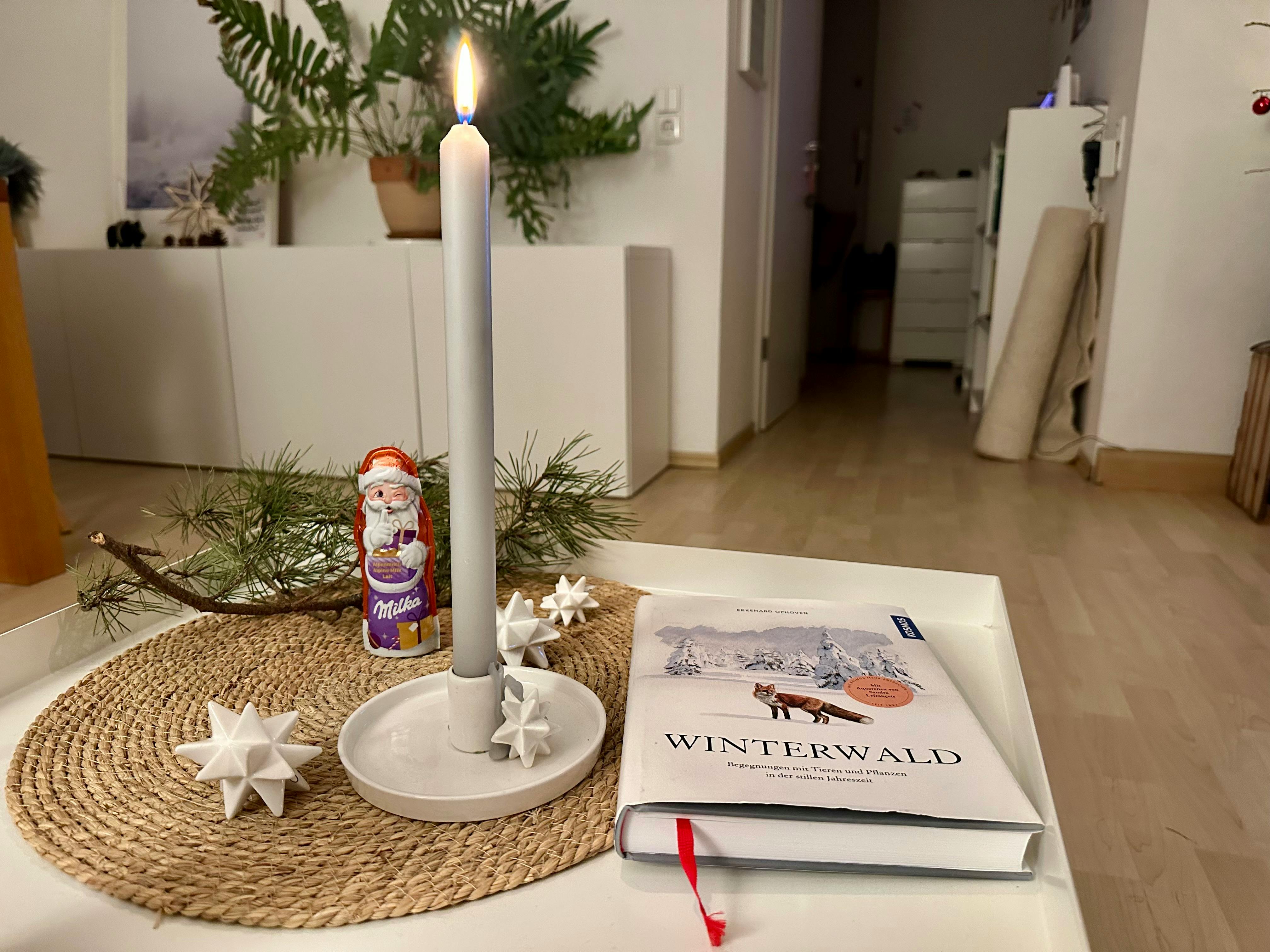 Weißer Couchtisch mit rundem Sisaldekchen. Darauf ein Kerzenhalter mit Stern und grauer Stabkerze, ein Schoko-Nikolaus, ein Fichtenzweig und das Buch "Winterwald".