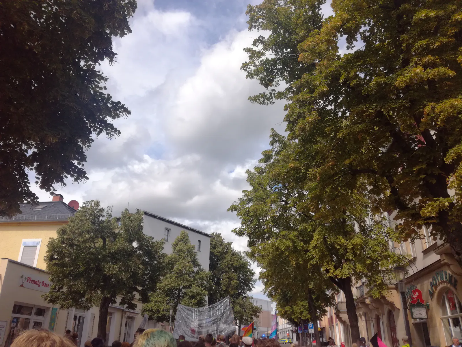 Köpfe der Demo-Teilnehmenden, weiter weg Transparente und Fahnen. Links und rechts große Bäume.