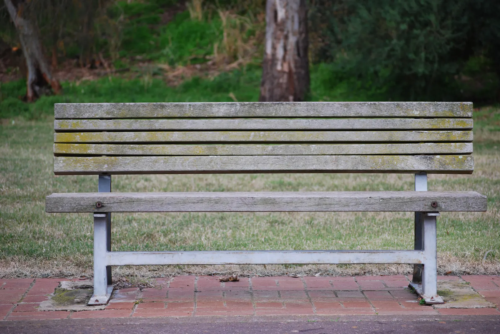 Offal park bench