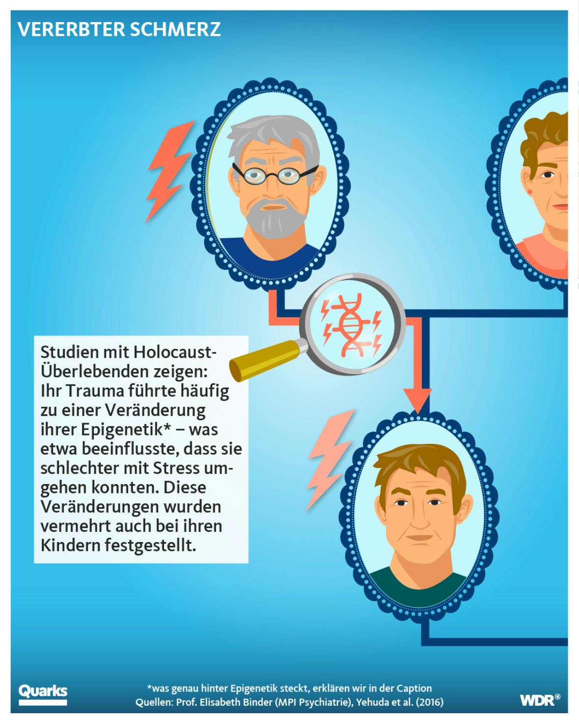Ranzoomen des linken Familienstammbaums. Zu sehen sind Opa und Sohn. Dazwischen ein Genom unter einer Lupe mit Blitzsymbolen an der Seite. 
Dazu der Text: 

Studien mit Holocaust-Überlebenden zeigen:
Ihr Trauma führte häufig zu einer Veränderung ihrer Epigenetik* - was etwa beeinflusste, dass sie schlechter mit Stress umgehen konnten. Diese Veränderungen wurden vermehrt auch bei ihren Kindern festgestellt.

*was genau hinter Epigenetik steckt, erklären wir in der Caption Quellen: Prof. Elisabeth Binder (MPI Psychiatrie), Yehuda et al. (2016)