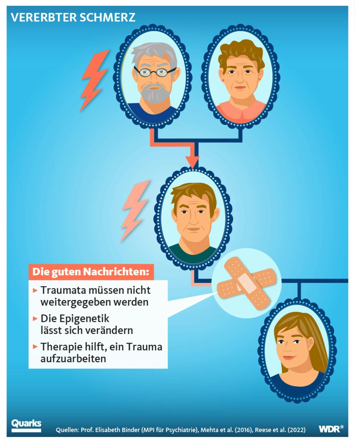 Nochmal der linke Teil des Stammbaums, zwischen Vater und Tochter ein Pflaster aug der Stammbaumlinie

Die guten Nachrichten:
• Traumata müssen nicht weitergegeben werden
• Die Epigenetik lässt sich verändern
• Therapie hilft, ein Trauma aufzuarbeiten
Quarks