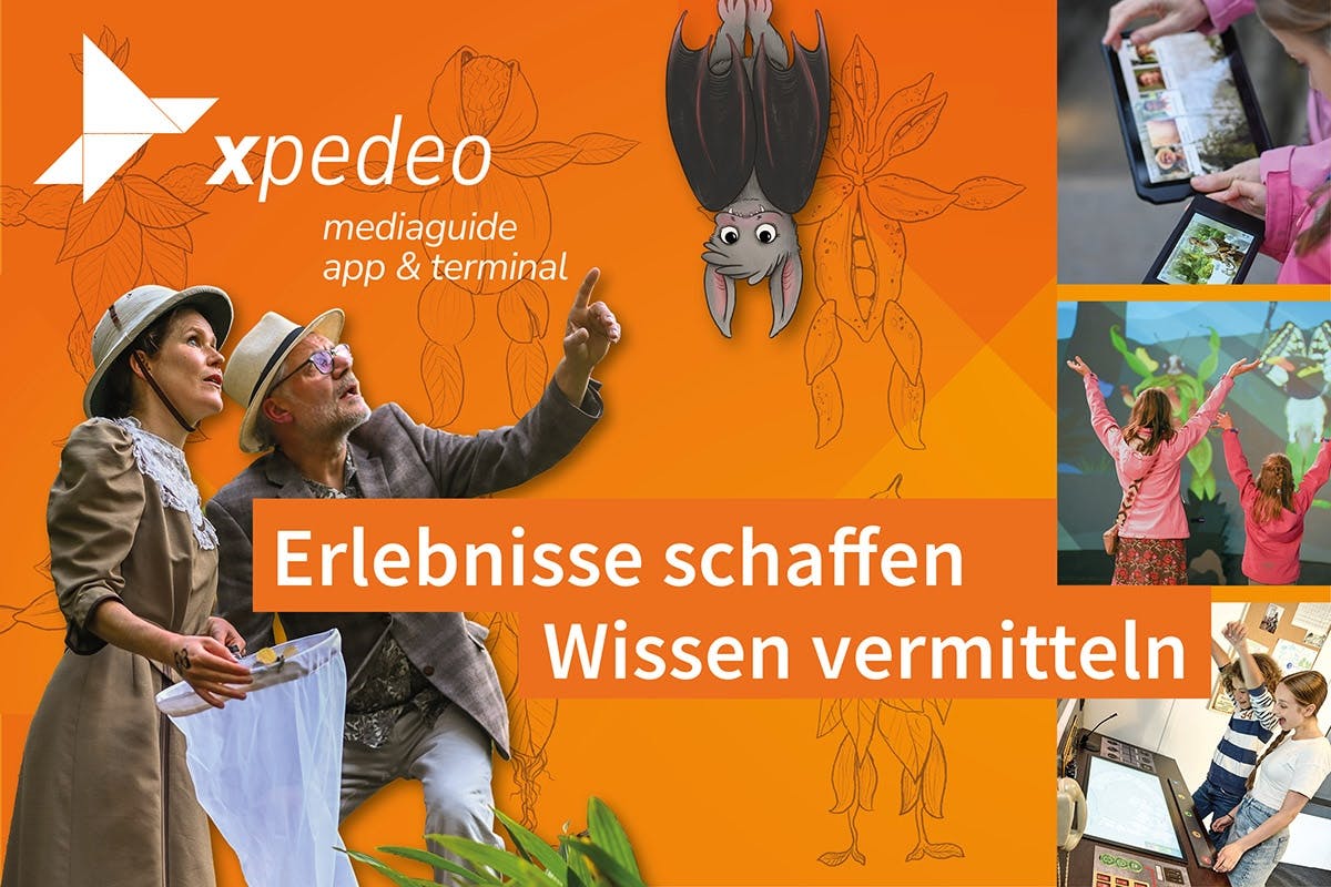 xpedeo: Barrierefreie Geschichten, die bewegen