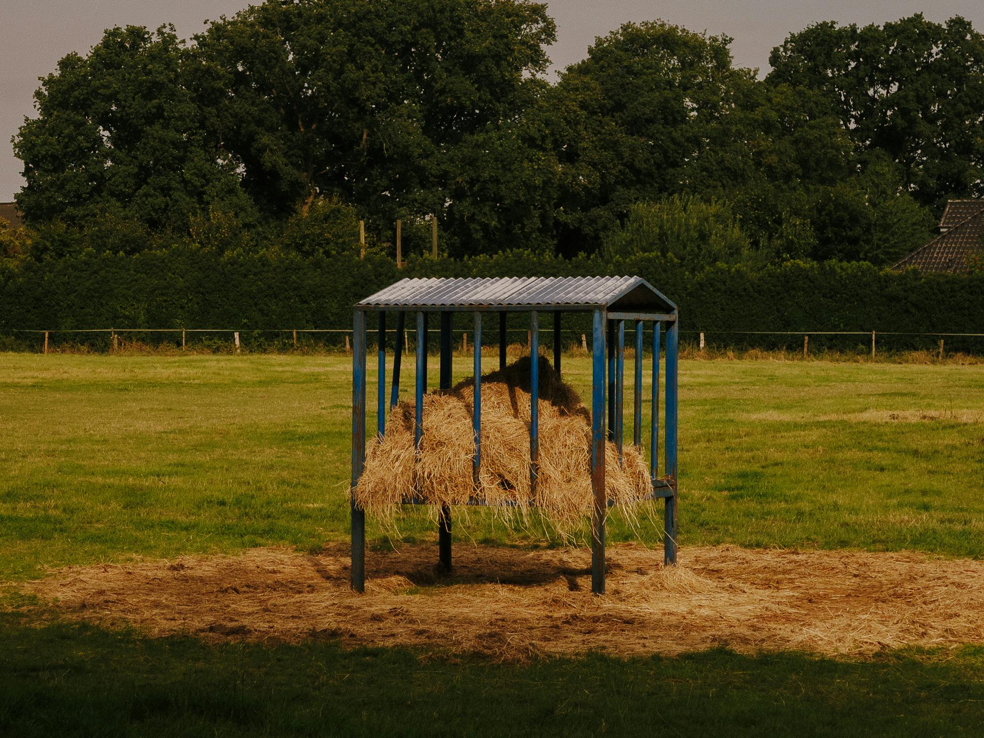 Eine Futterstelle in warmes Licht getaucht.