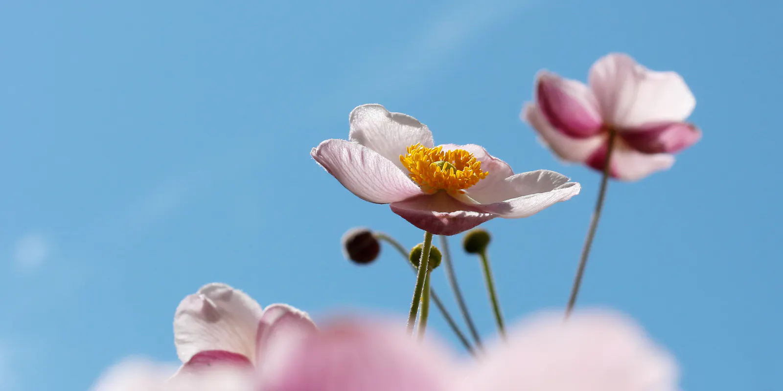 Meine Coaching-Angebote
