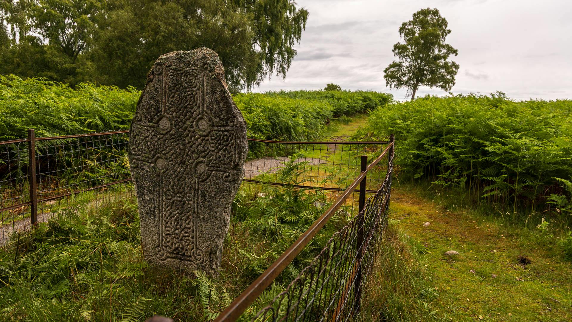 Ein Keltenkreuz, umgeben von Farn und Bäumen, steht im Muir of Dinnet.