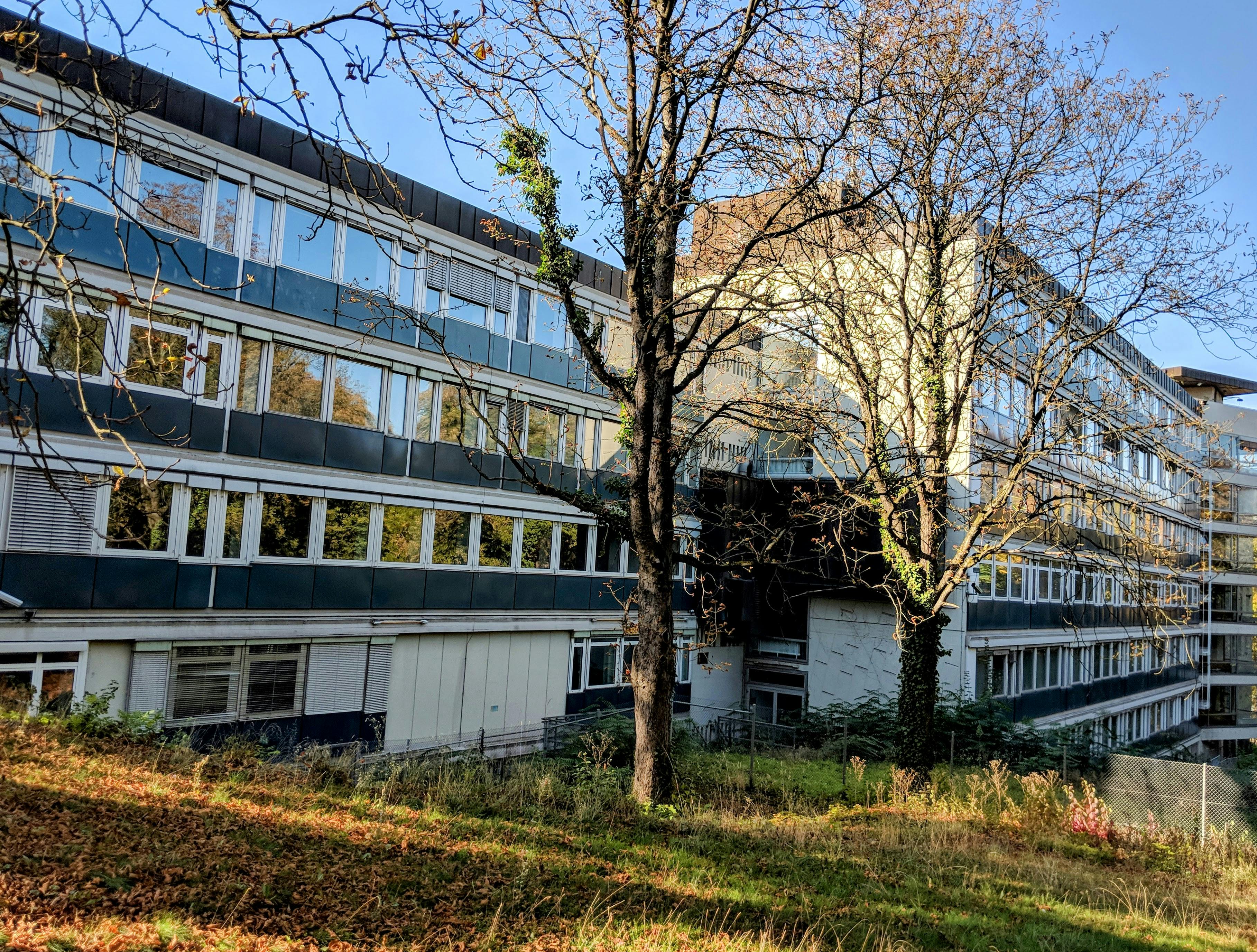 Wo einst die riesigen SWR-Fernsehstudios standen ... Foto: Jürgen Brand