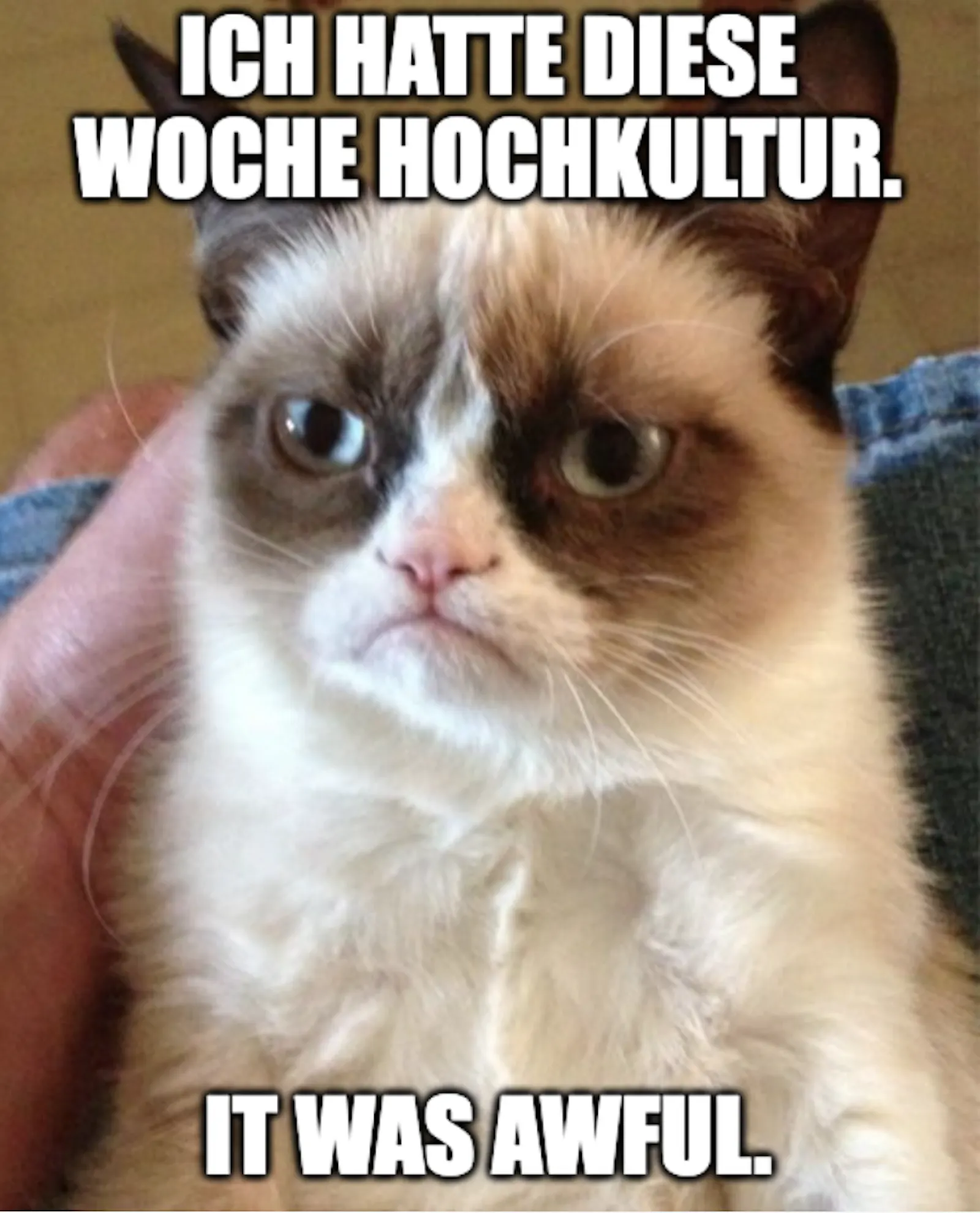 Grumpycat Meme: Ich hatte diese Woche Hochkultur. It was awful.