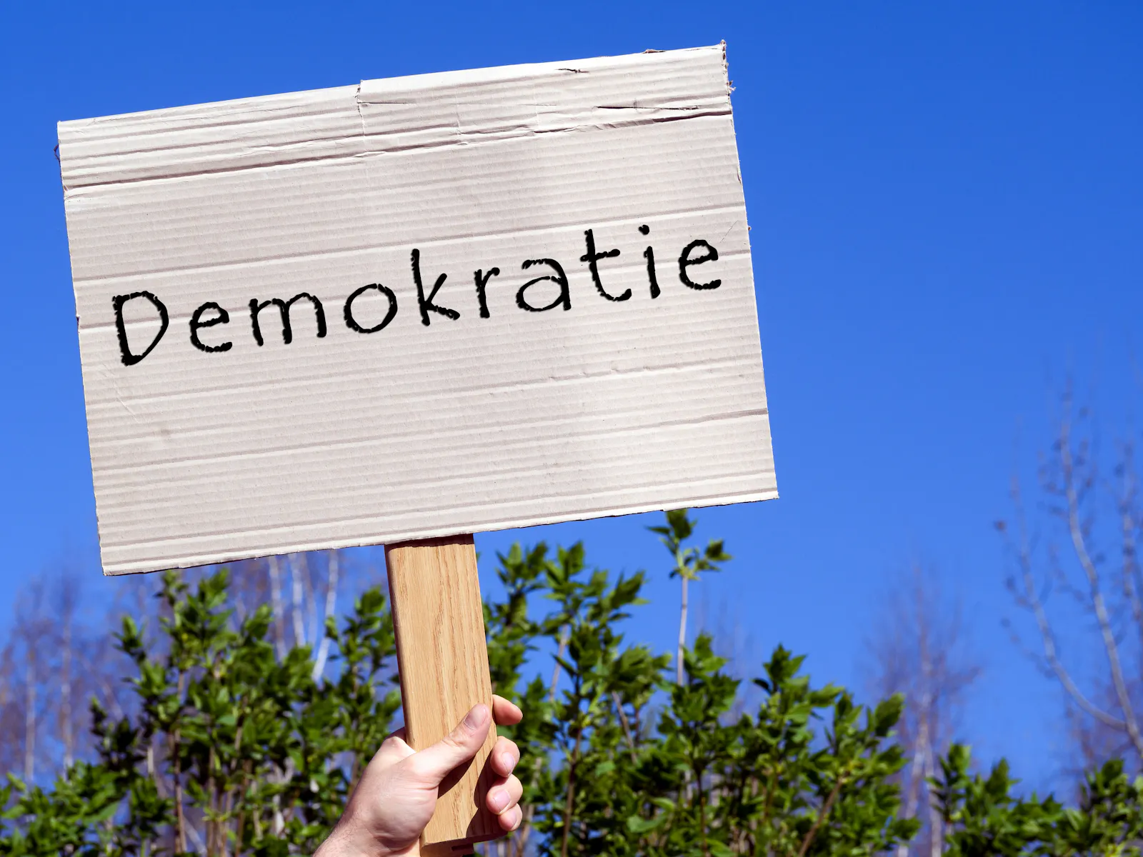 Das Bild zeigt eine Hand, die ein Schild aus Karton in die Höhe hält. Auf dem Schild steht das Wort „Demokratie".