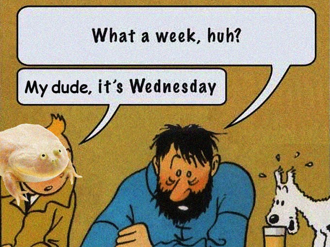 Ein Mashup des "Captain it's Wednesday" und 'Its is wednesday, my dud" Memes