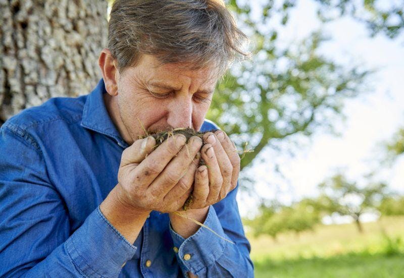 Jörg Geiger riecht an Blüten