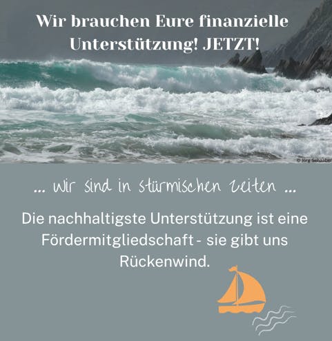 Große Meereswellen unter grauem Himmel.