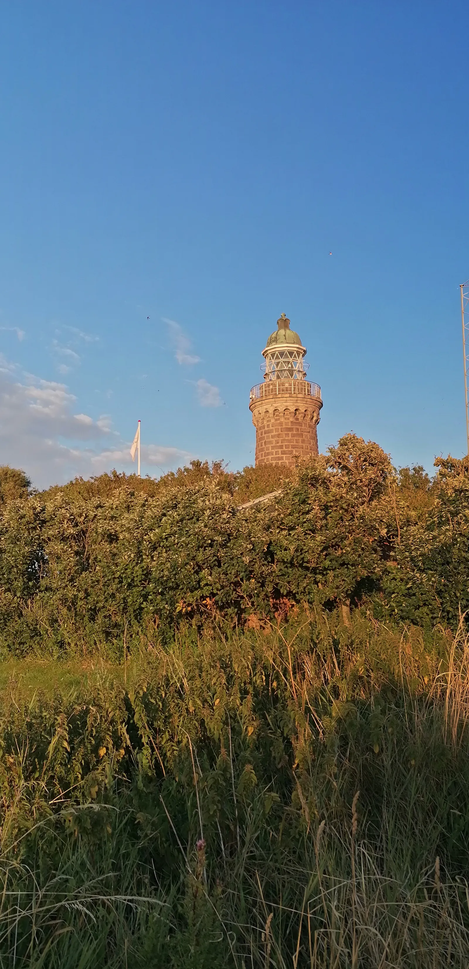 Ein Leuchtturm steht inmitten von grünen Pflanzen