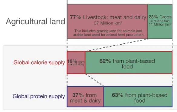 Diagramm über das Verhältnis von Flächenbedarf zu Kalorienproduktion bei Tierhaltung vs. Ackerbau.