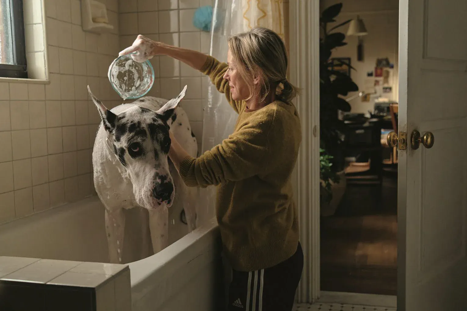 Naomi Watts und Bing in LOYAL FRIEND Credit: Bleecker Street