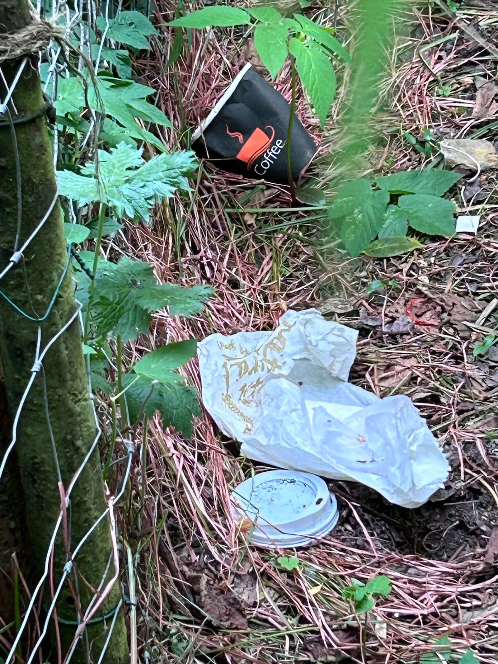Coffe-to-go-Becher und Brötchentüte im Garten