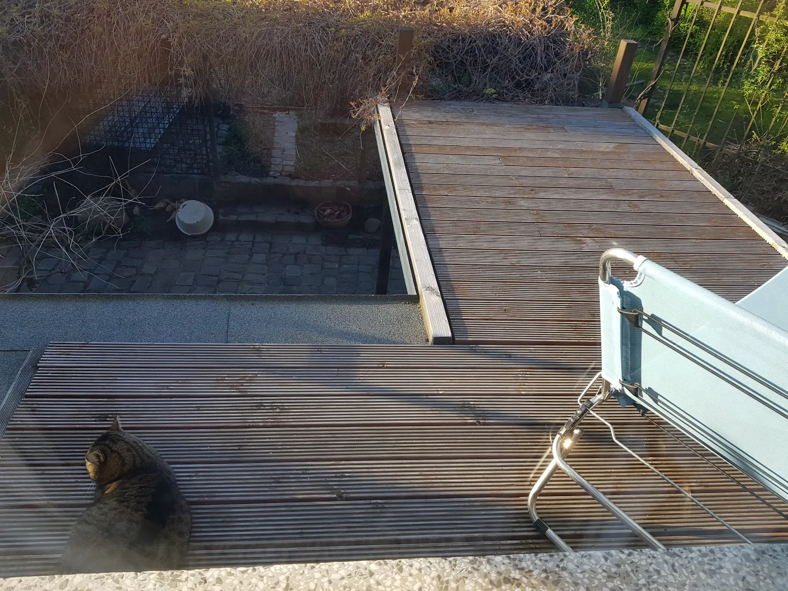 Durchs Fenster fotografierte Katze liegt abgewandt auf Veranda, schläft.