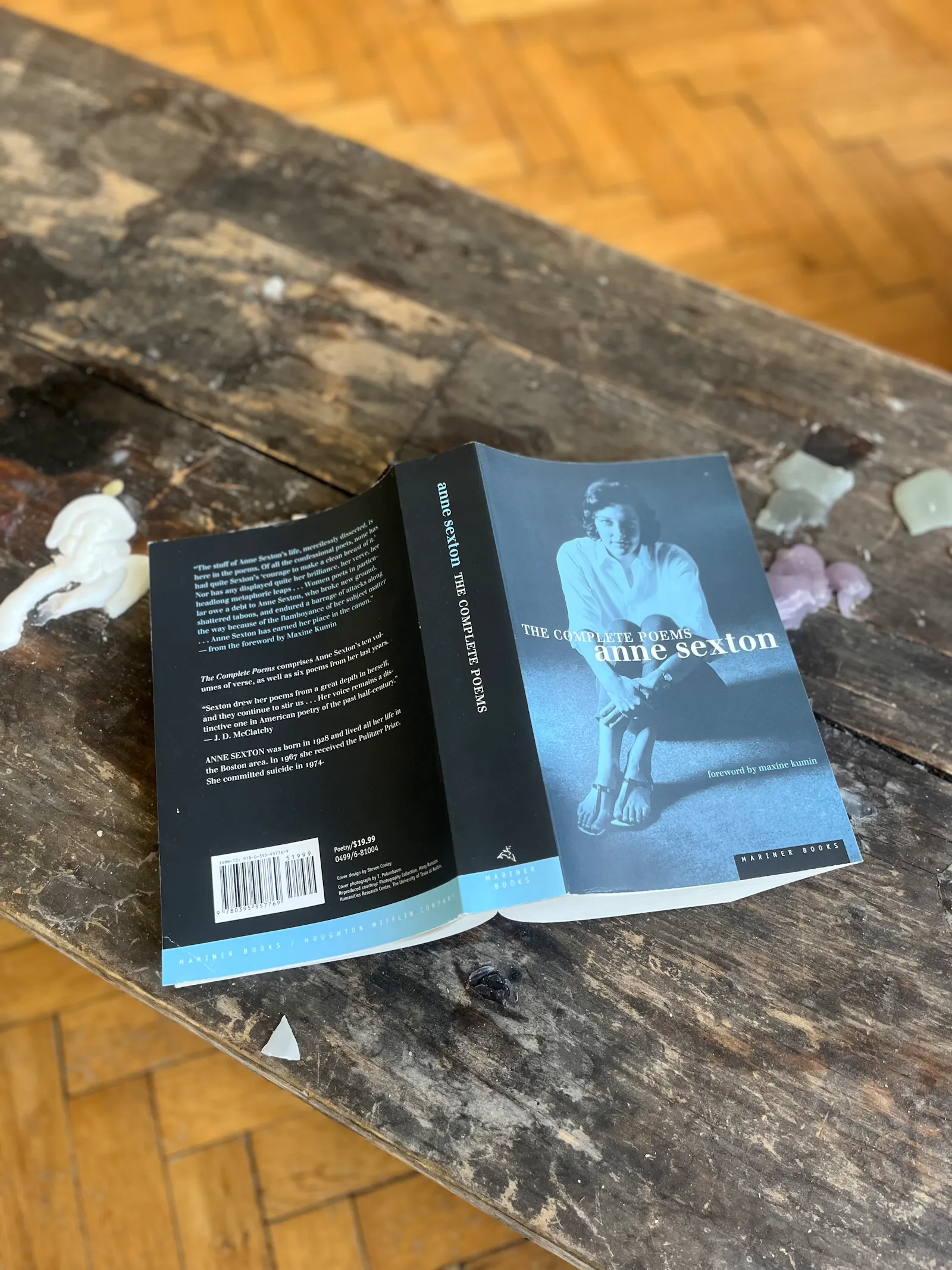 Auf dem Bild sieht man das Buch "The Complete Poems of Anne Sexton" aufgeschlagen auf einem Holztisch liegen. Auf dem Cover ist ein Portrait der Dichterin zu sehen.