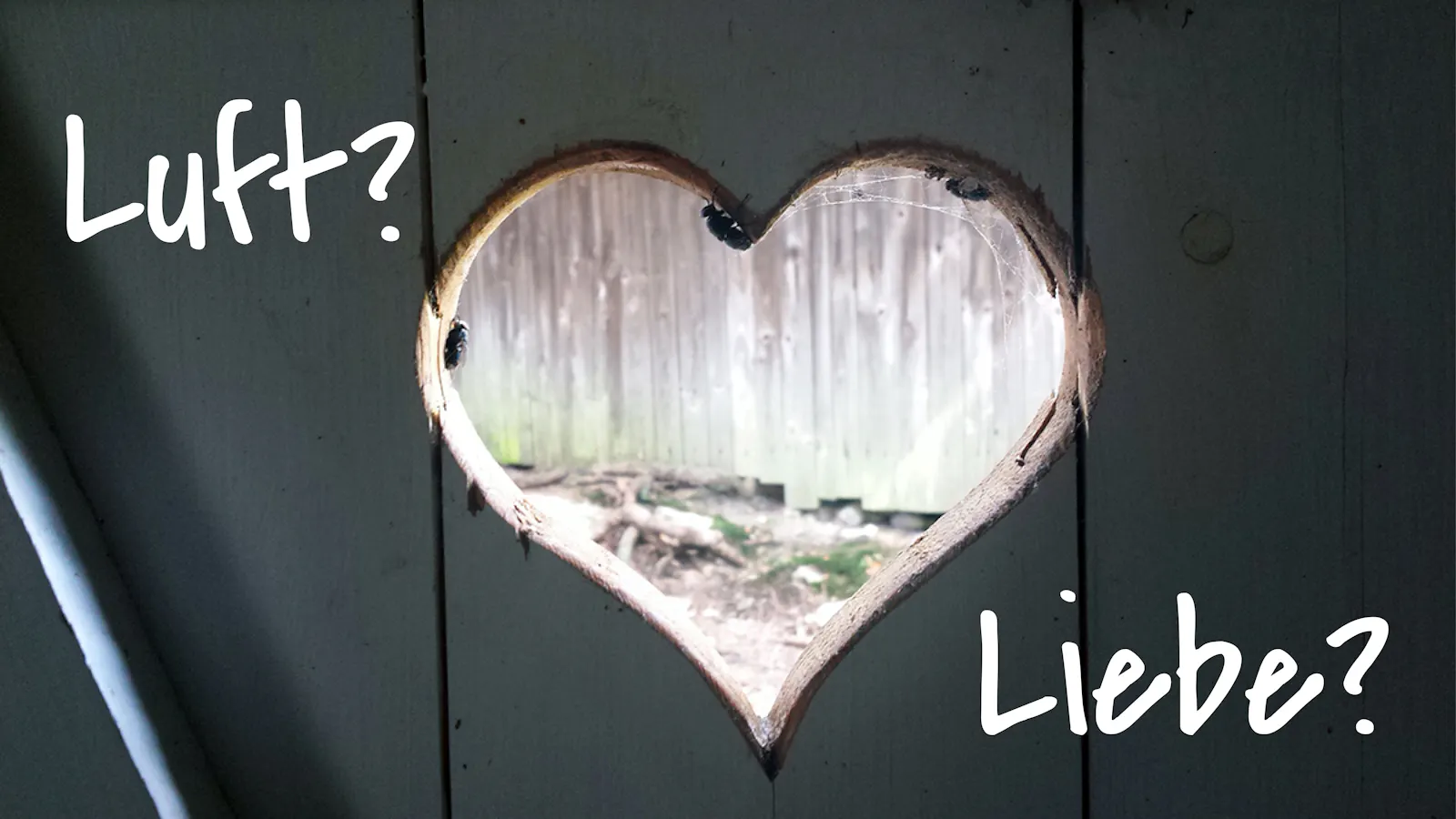 Ein Herz in einer alten Toiletten-Holztür