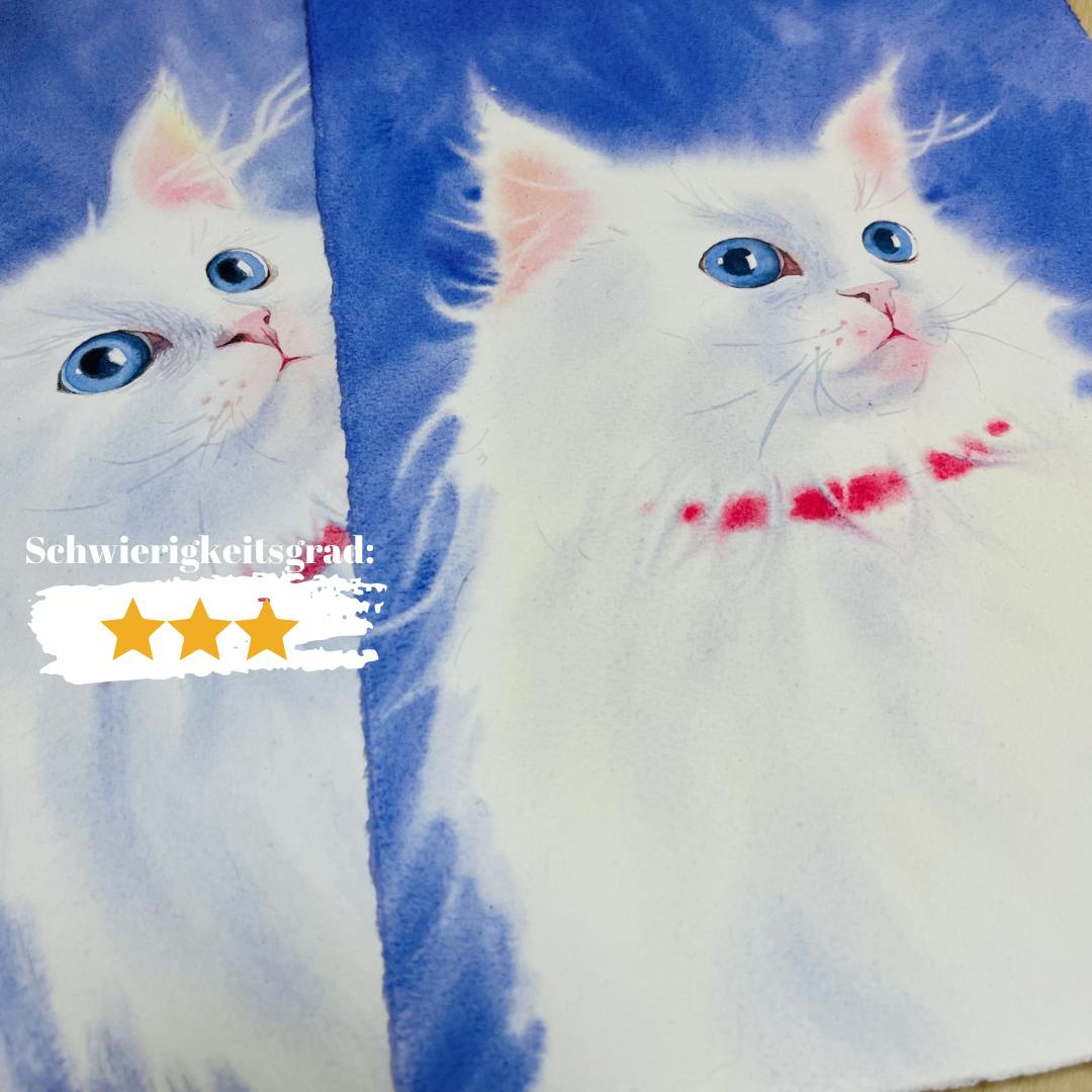 Flauschiges weißes Kätzchen