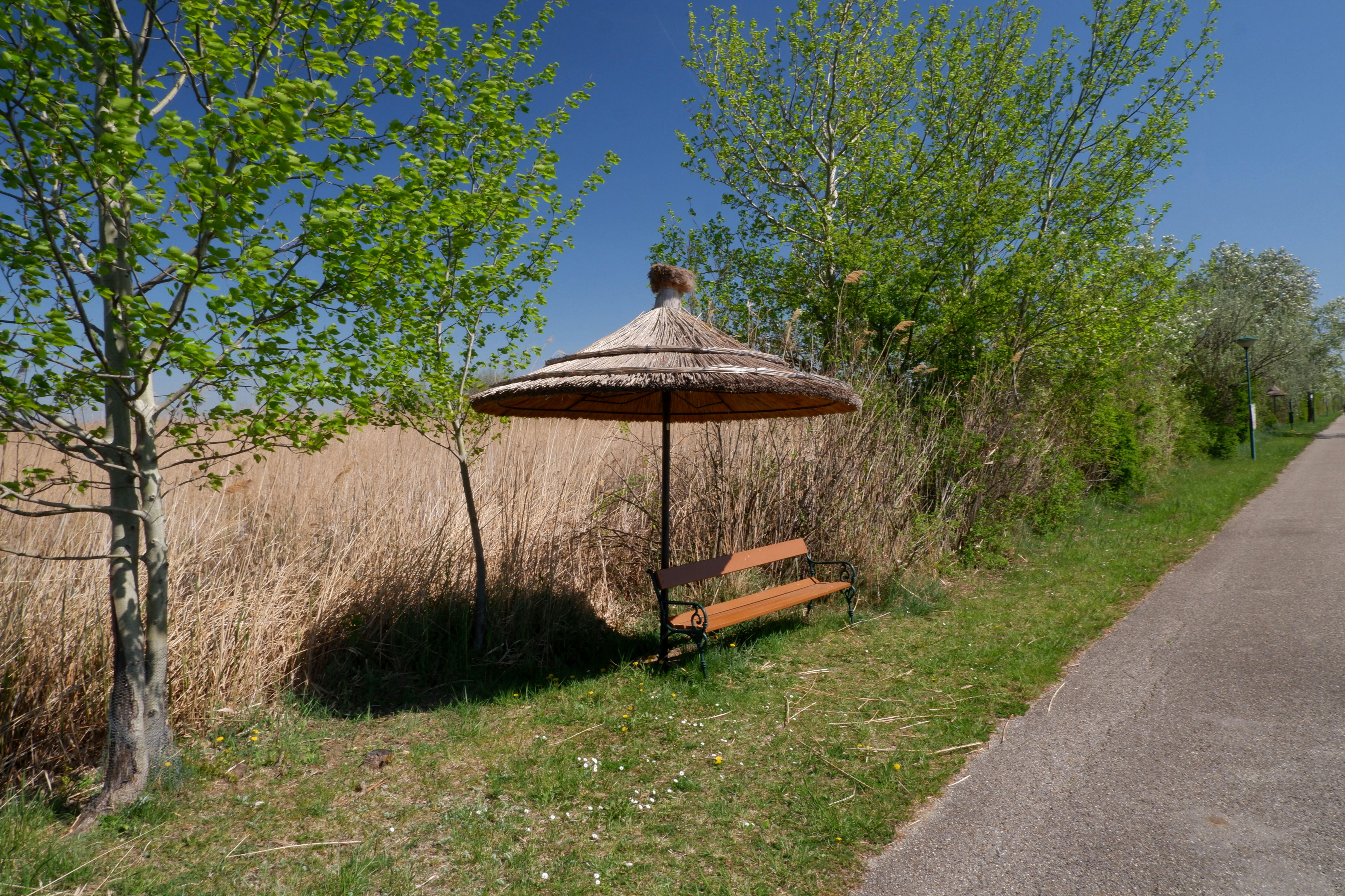 Rastplatz mit Sonnenschirm aus Schilf an der Straße durch den Schilfgürtel