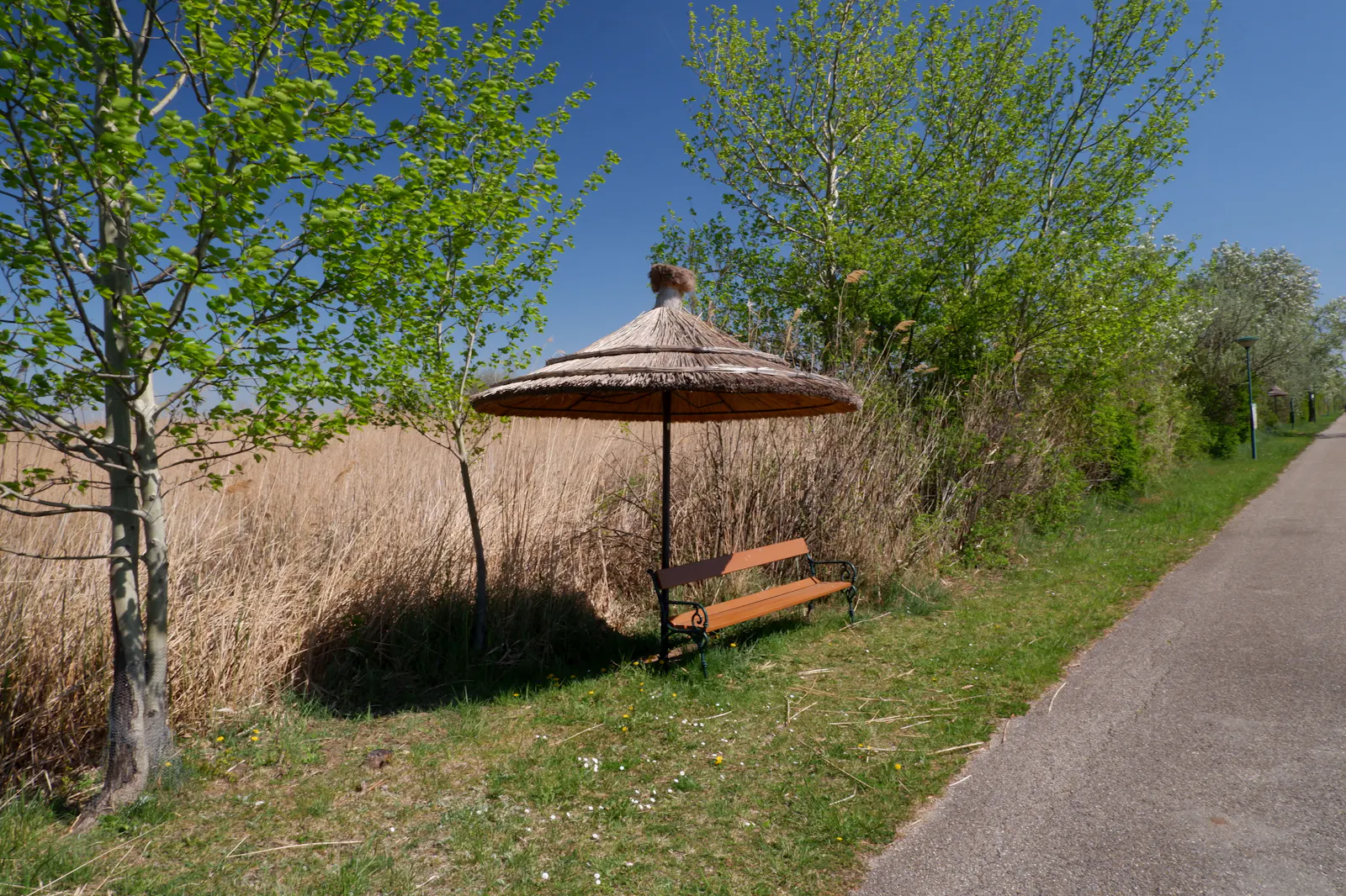 Rastplatz mit Sonnenschirm aus Schilf an der Straße durch den Schilfgürtel