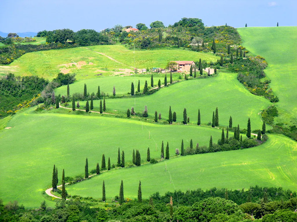 Toskanische Landschaft mit grünen Hügeln, Zypressen und vereinzelten Landhäusern im Val d'Orcia
