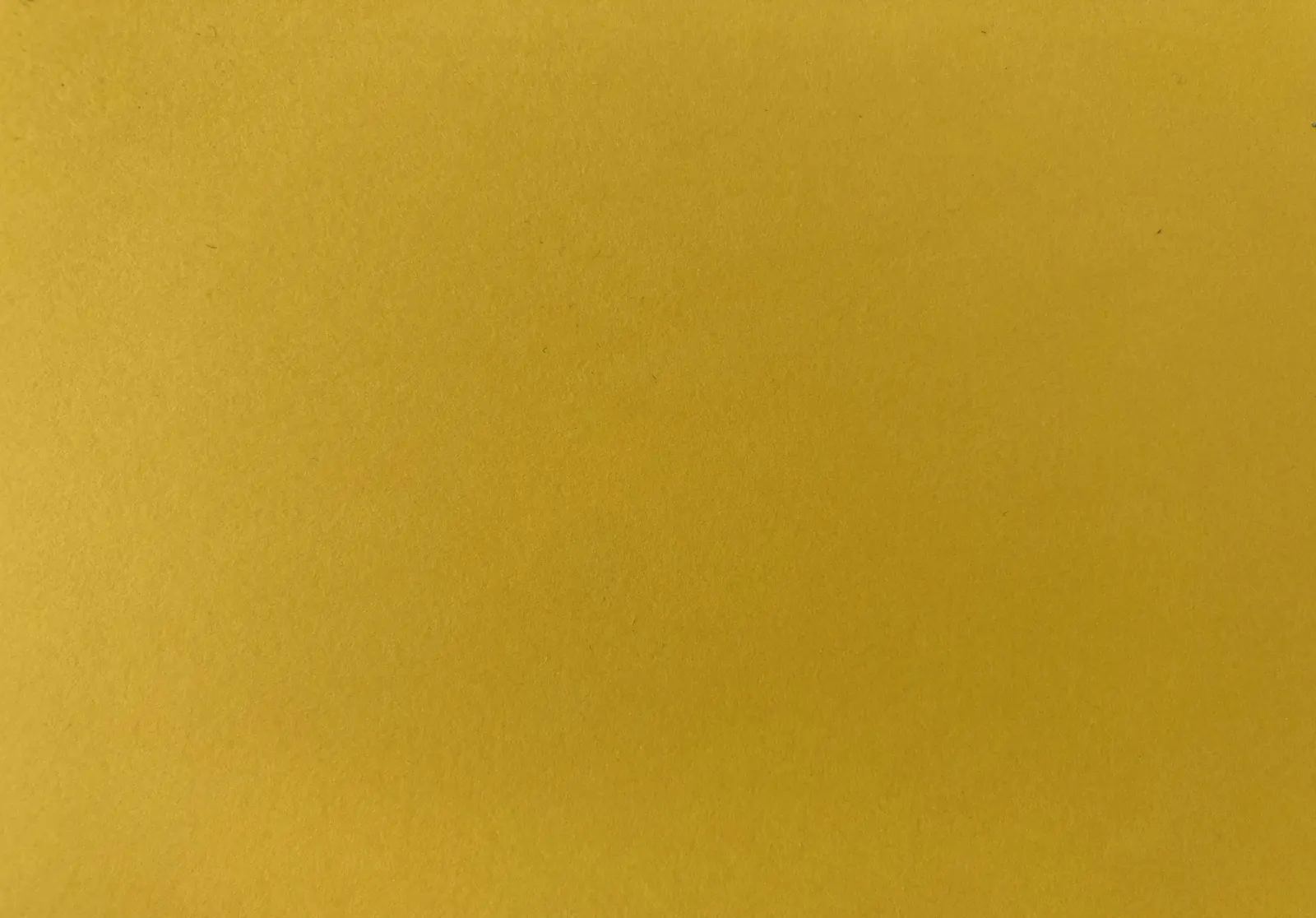 A yellow post it, as yellow as the late August sun
